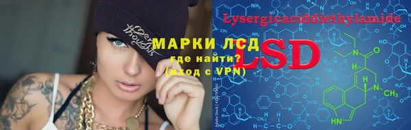 молекула духа Нефтекумск