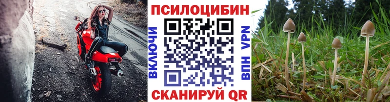 Псилоцибиновые грибы Psilocybine cubensis Серов