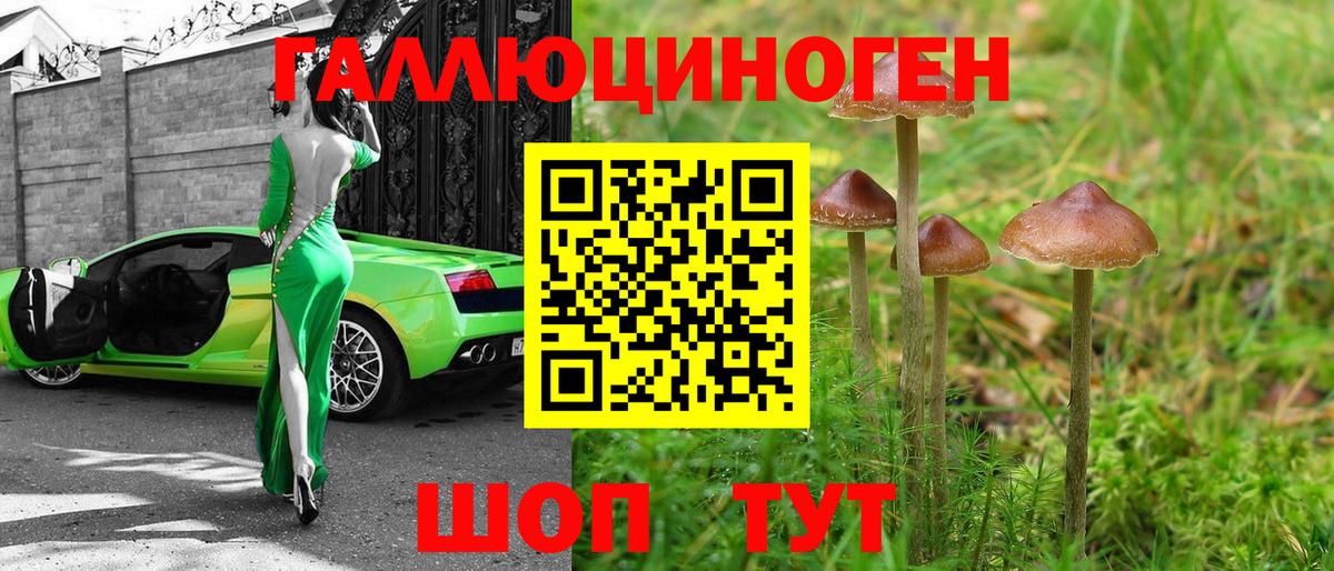 Псилоцибиновые грибы Psilocybine cubensis Серов