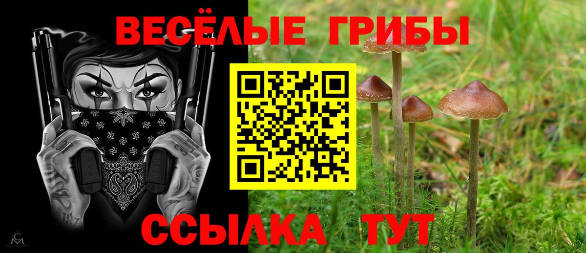 Серов  Галлюциногенные грибы GOLDEN TEACHER  Вход с VPN 