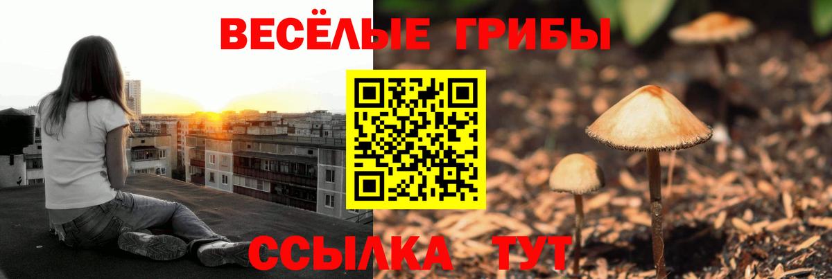 Псилоцибиновые грибы мицелий Серов